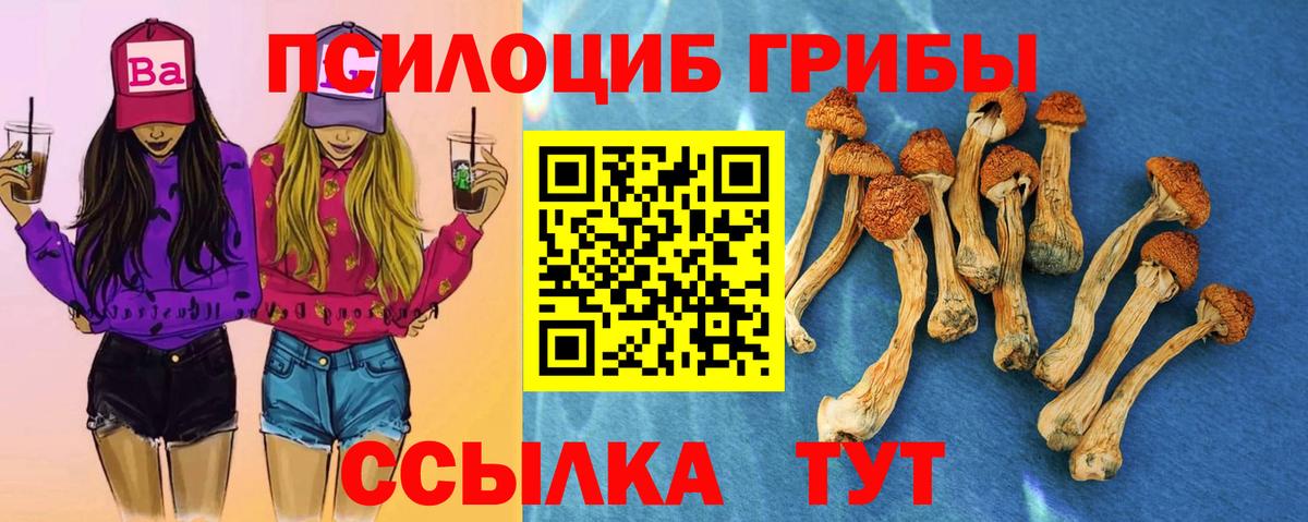 Псилоцибиновые грибы мицелий  Галлюциногенные грибы прущие грибы  Вход с VPN  Анжеро-Судженск 