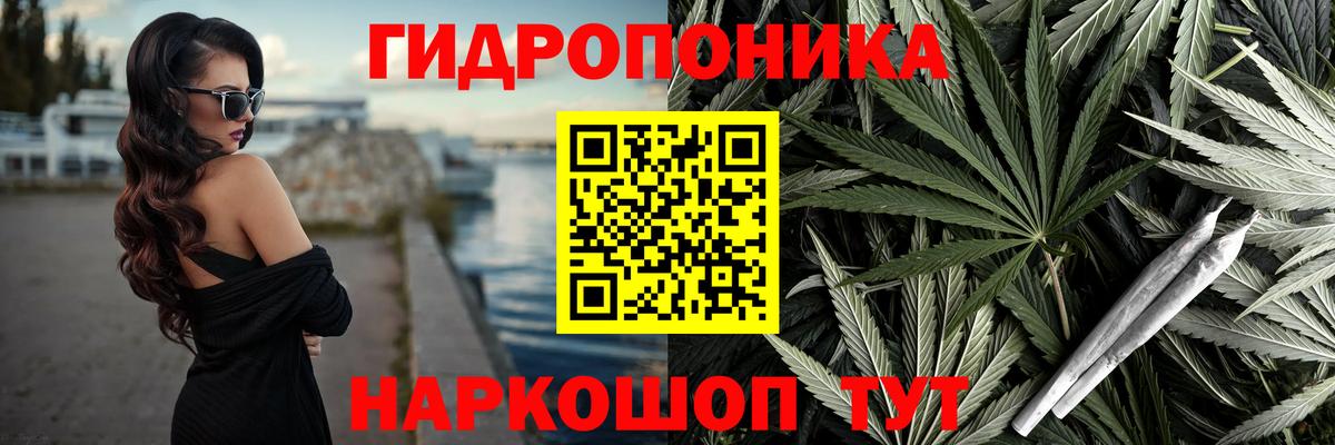 Марихуана Amnesia  Бошки Шишки марихуана  Анжеро-Судженск  Шишки марихуана THC 21%  Бошки Шишки планчик  Вход с VPN 